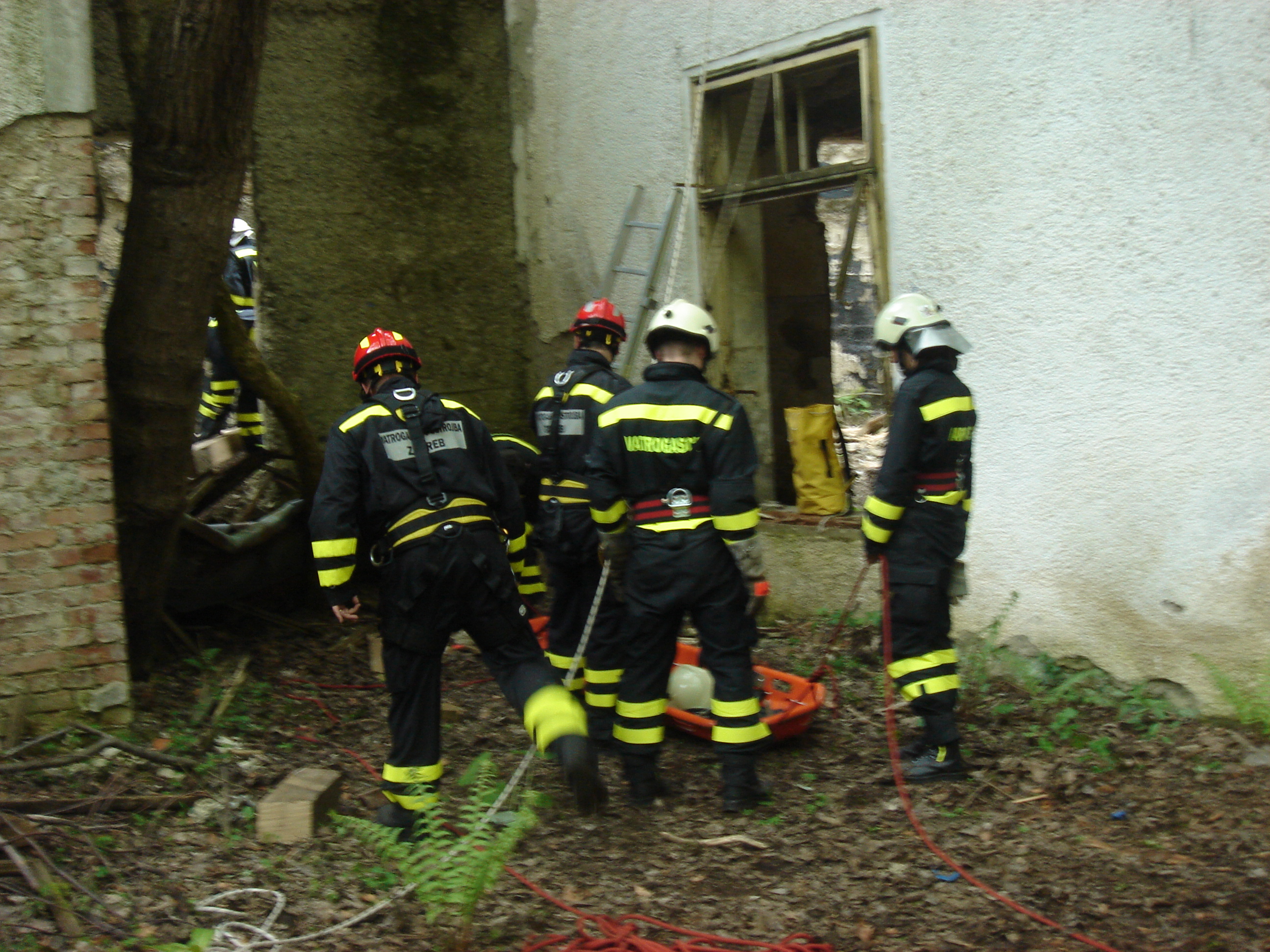 DVD Bukovac